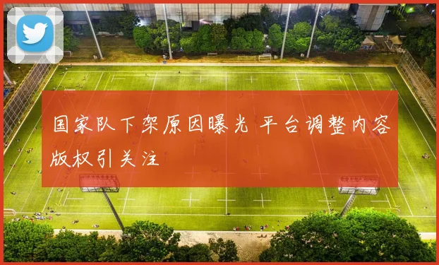 国家队下架原因曝光 平台调整内容版权引关注