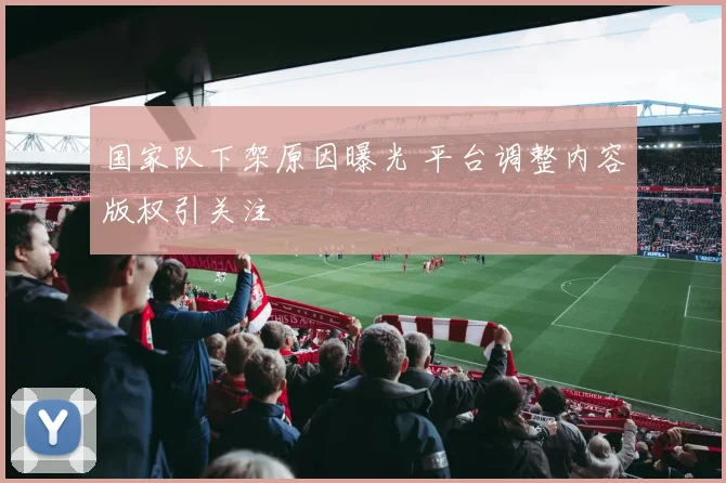 国家队下架原因曝光 平台调整内容版权引关注