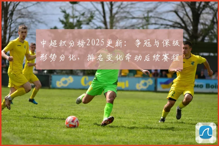 中超积分榜2025更新：争冠与保级形势分化，排名变化牵动后续赛程